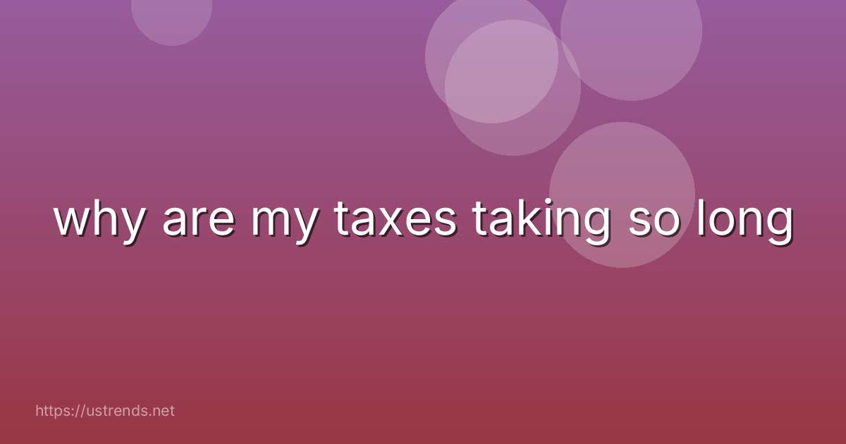 why are my taxes taking so long