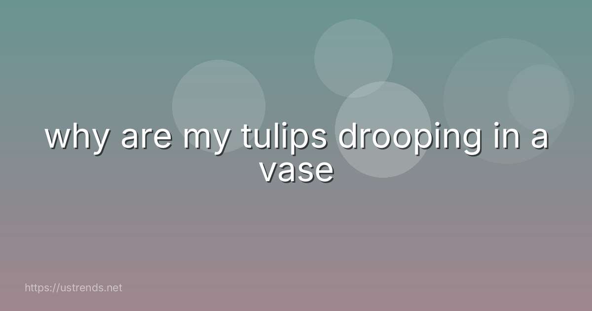 why are my tulips drooping in a vase