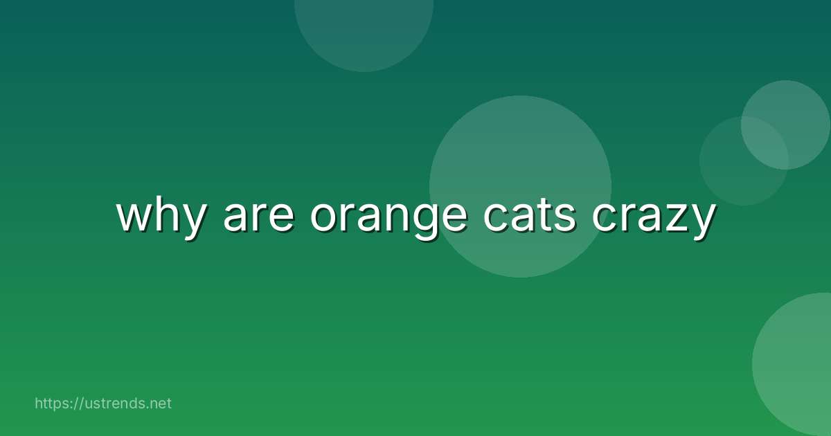 why are orange cats crazy