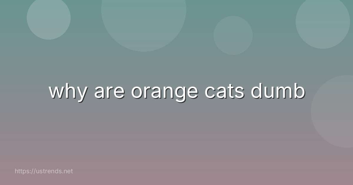 why are orange cats dumb