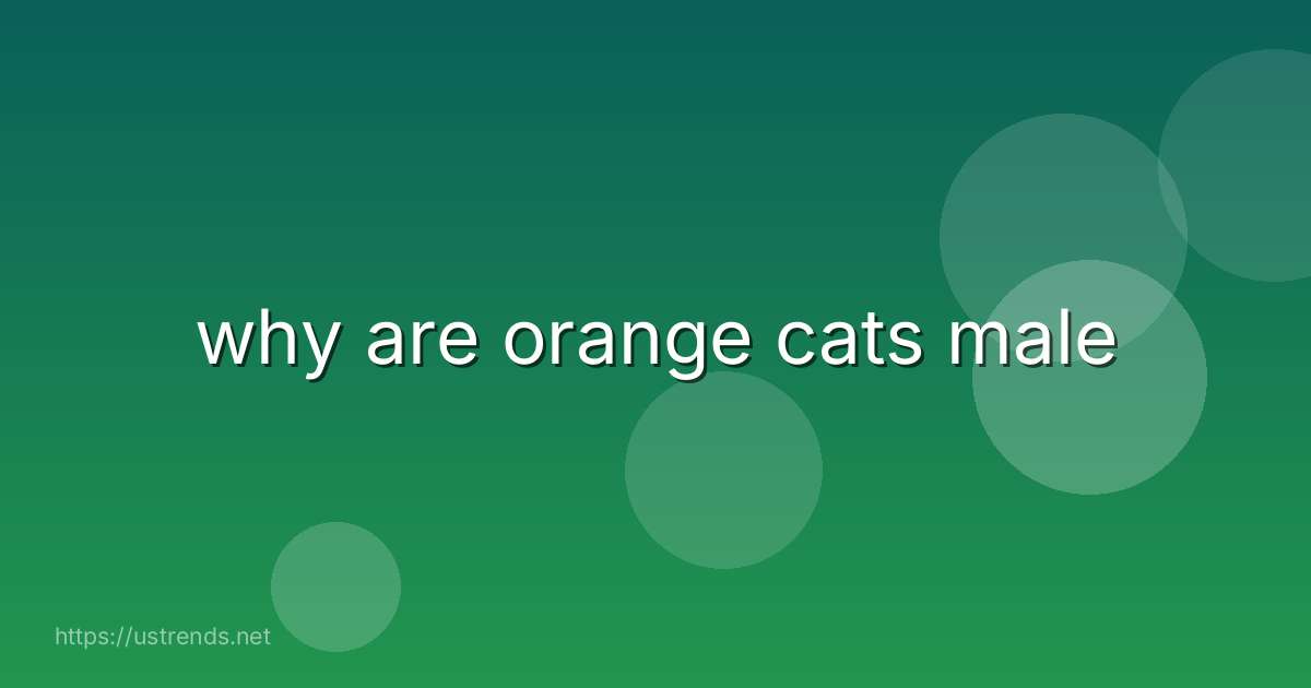 why are orange cats male