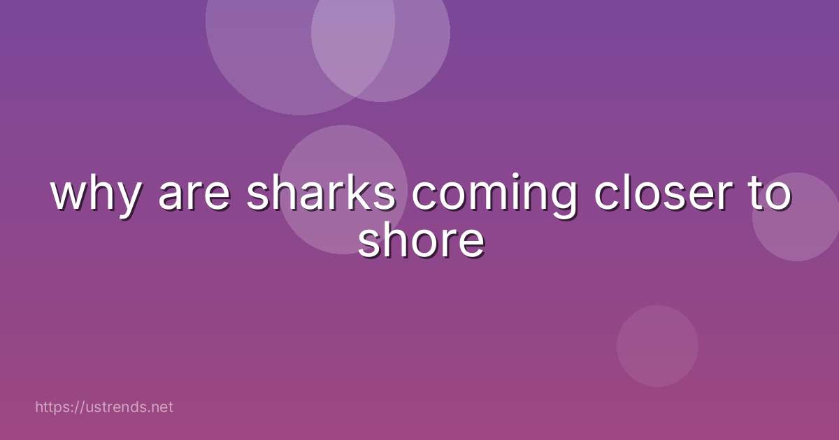 why are sharks coming closer to shore
