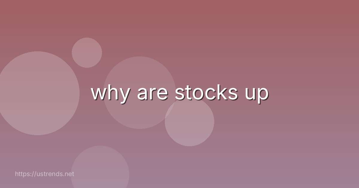 why are stocks up