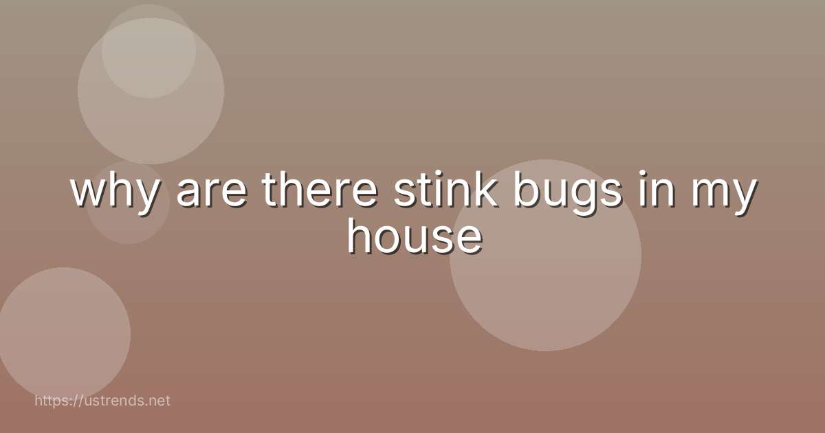 why are there stink bugs in my house