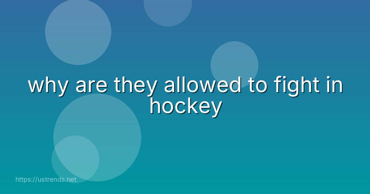 why are they allowed to fight in hockey