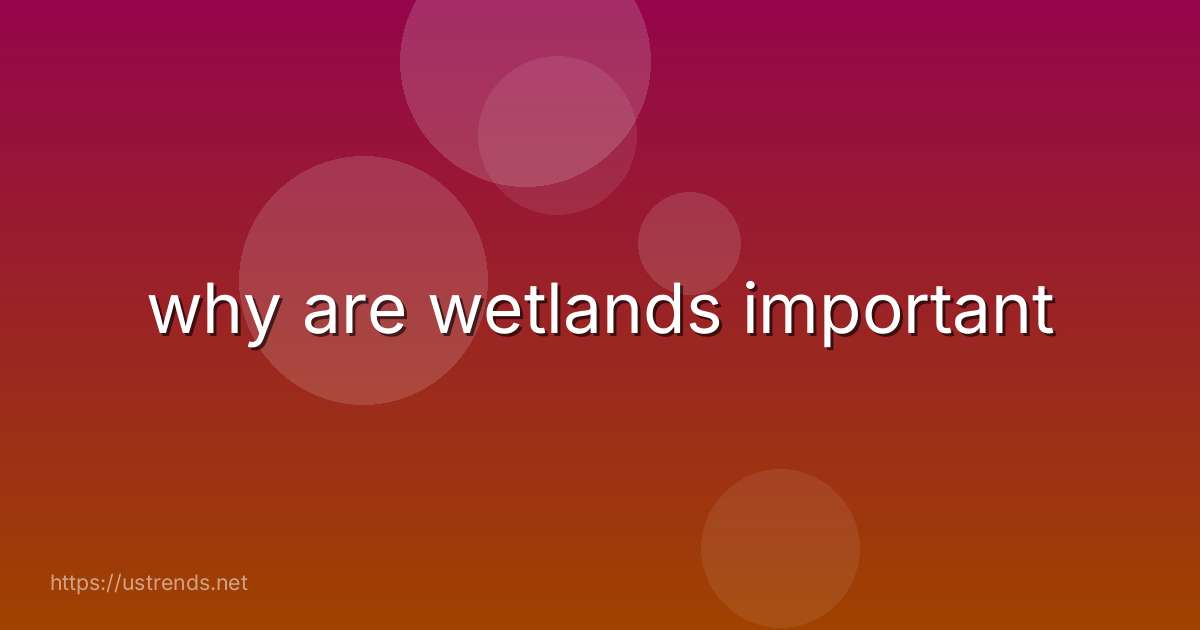 why are wetlands important