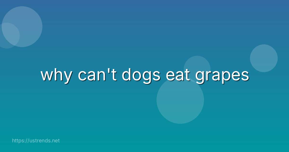 why can't dogs eat grapes
