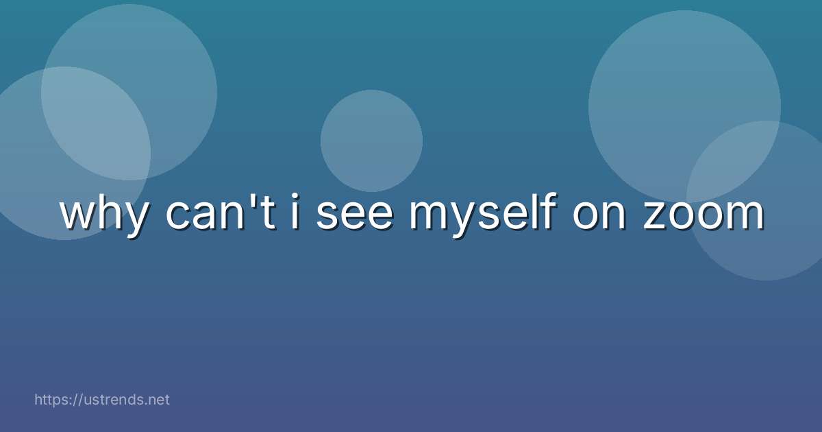 why can't i see myself on zoom