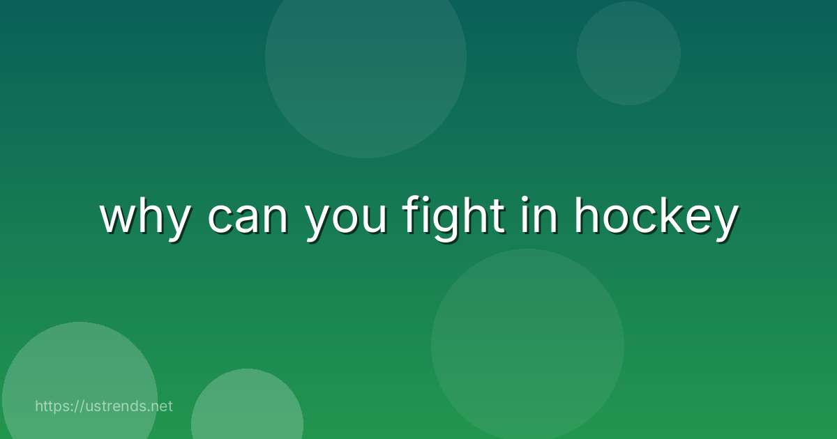 why can you fight in hockey