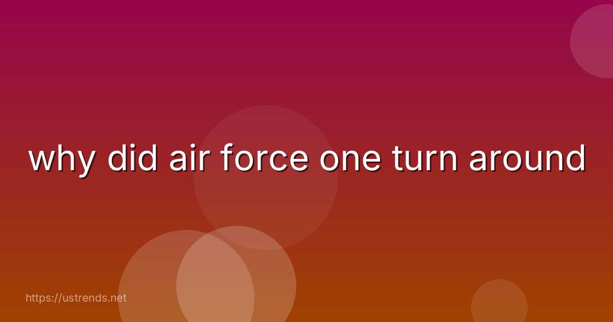 why did air force one turn around