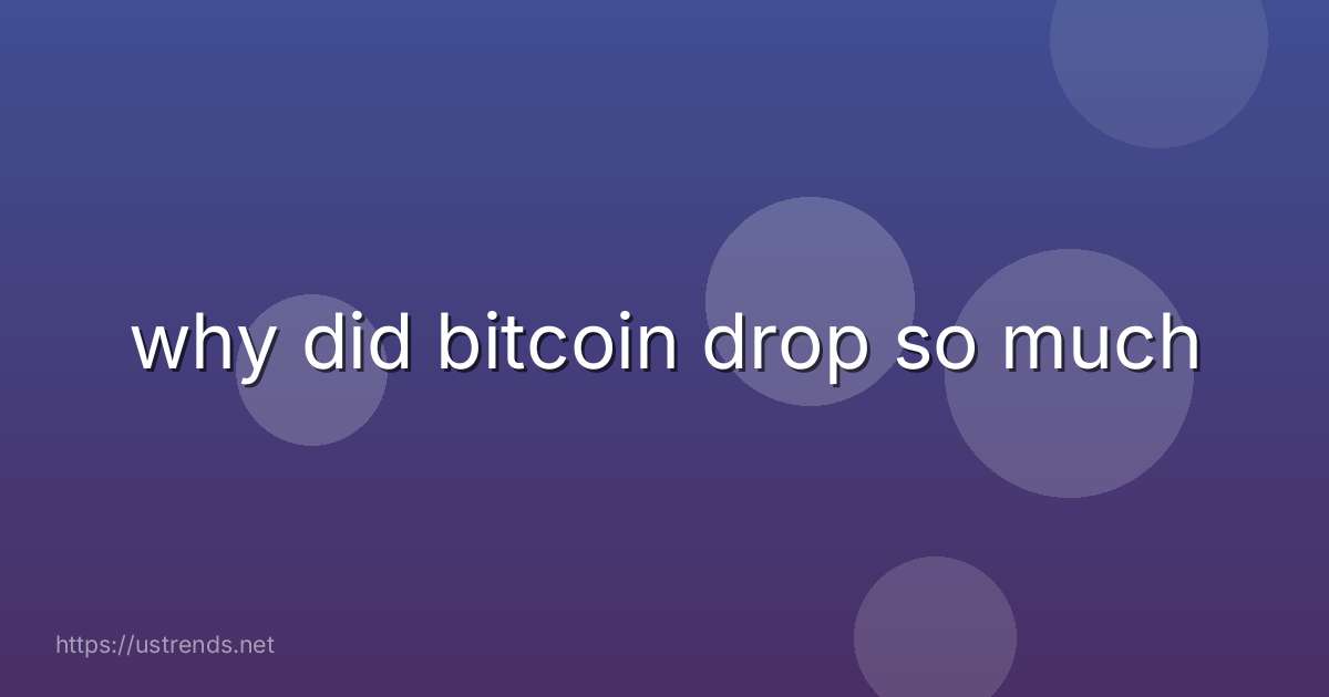 why did bitcoin drop so much