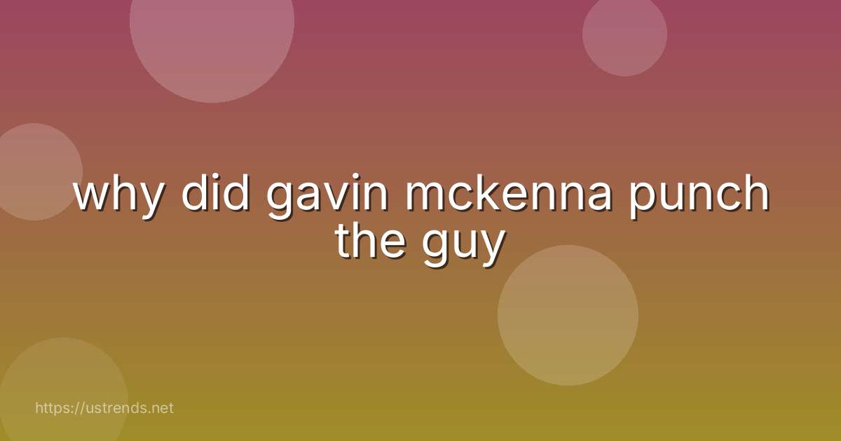why did gavin mckenna punch the guy