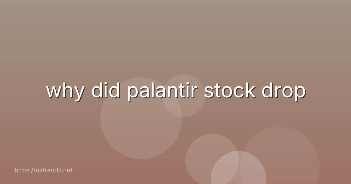 why did palantir stock drop