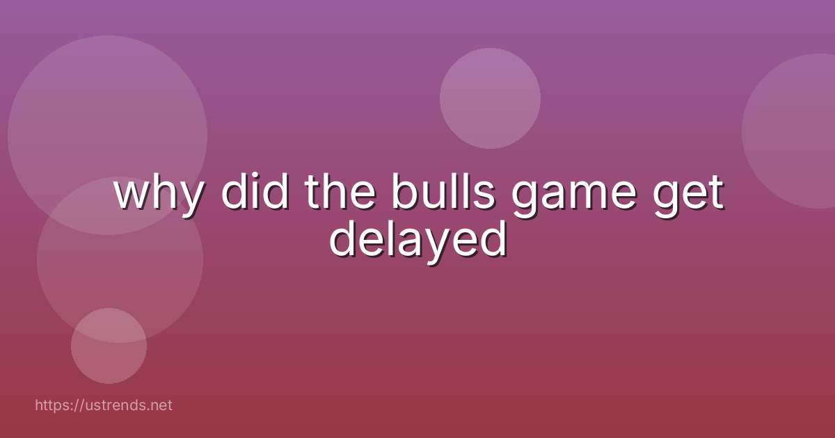 why did the bulls game get delayed