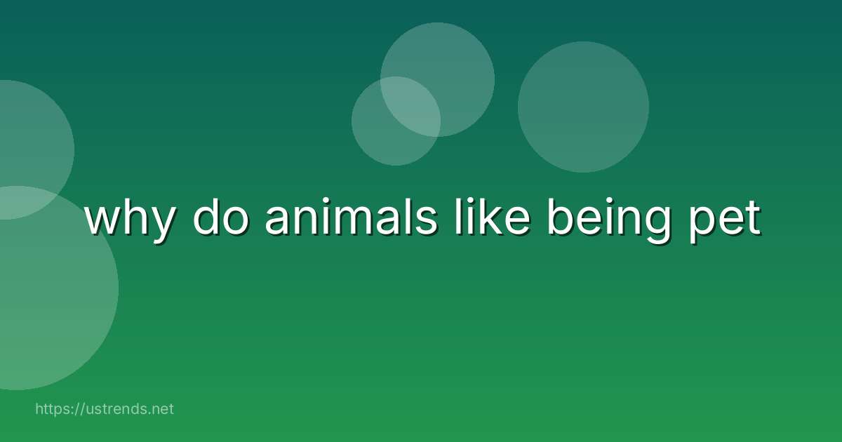 why do animals like being pet