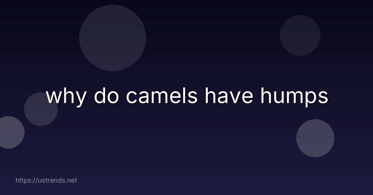why do camels have humps