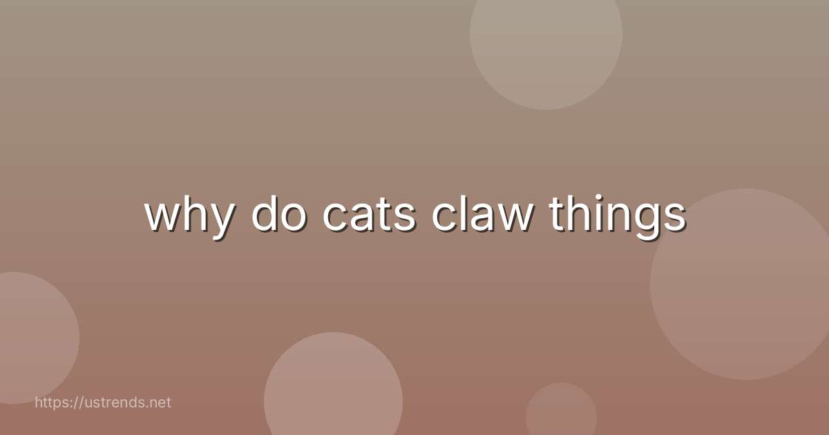 why do cats claw things