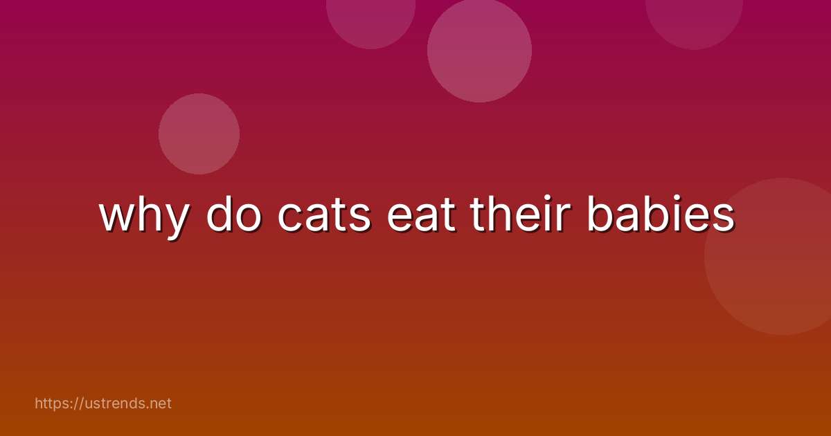 why do cats eat their babies