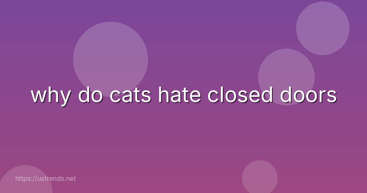 why do cats hate closed doors