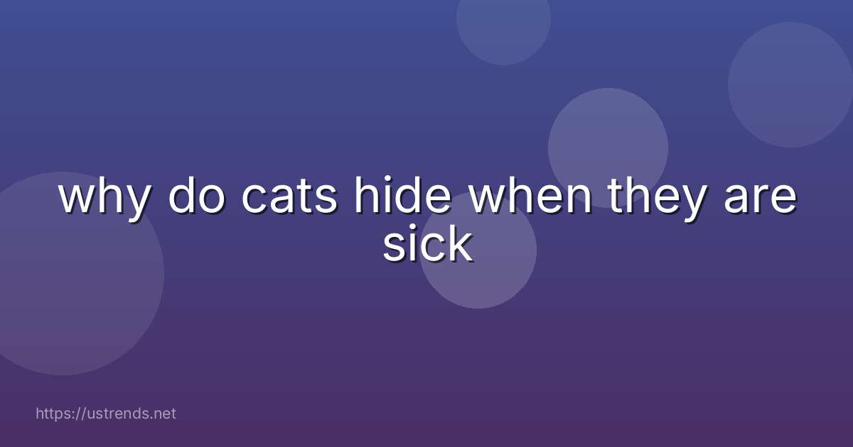 why do cats hide when they are sick