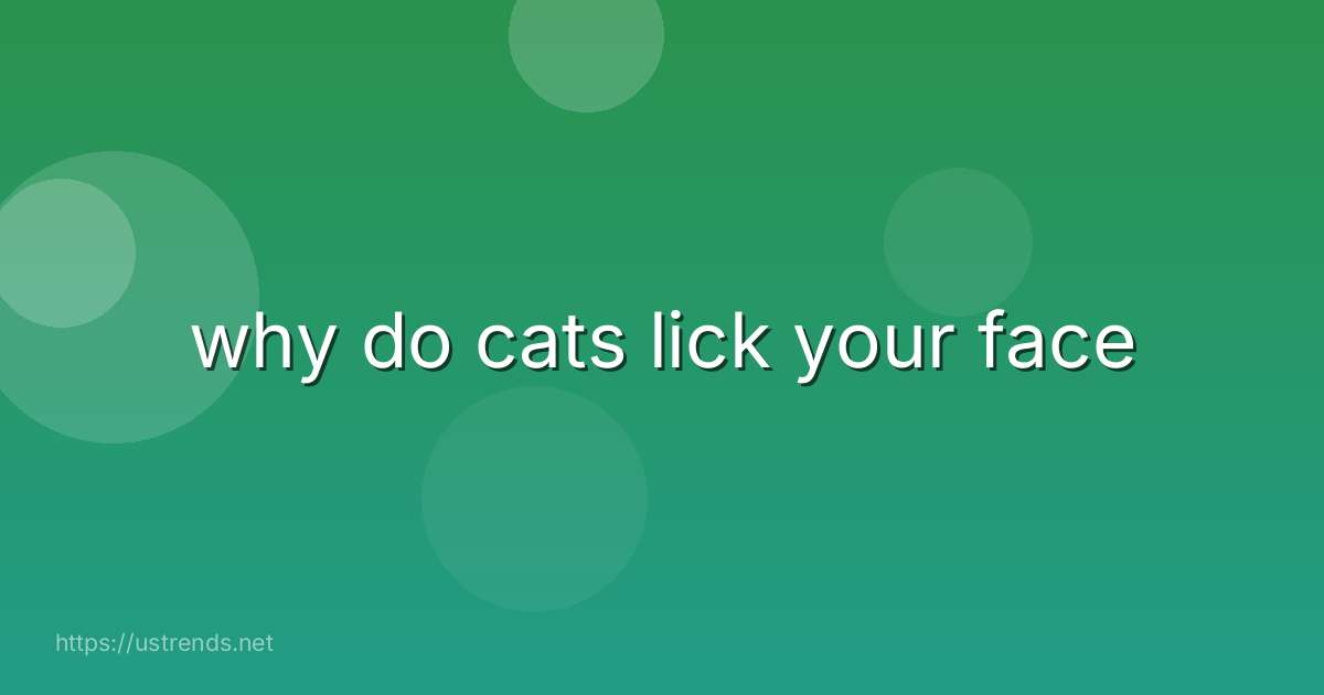 why do cats lick your face