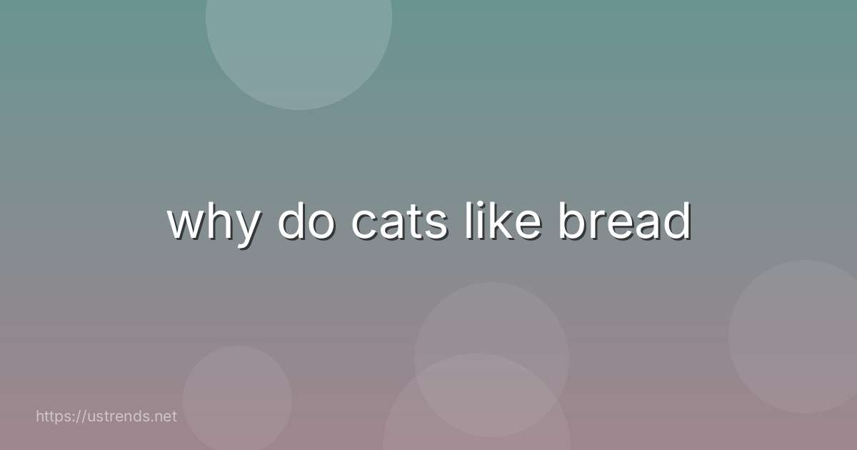 why do cats like bread