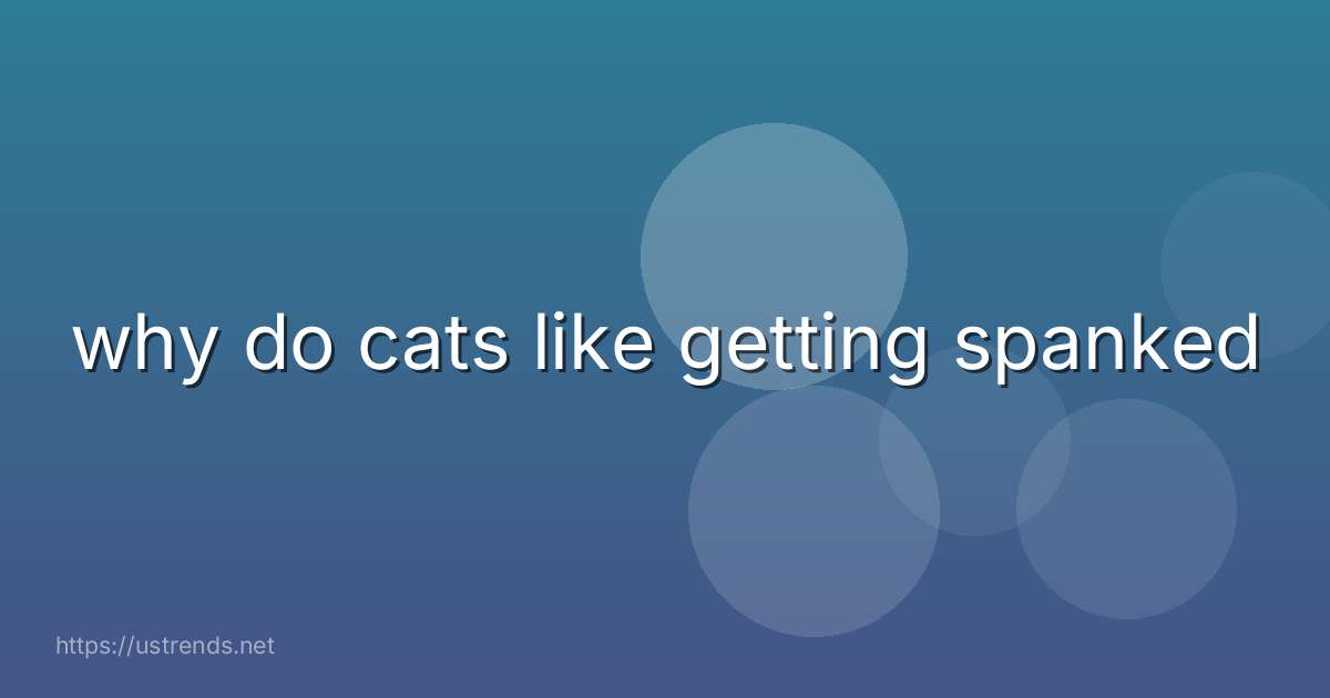 why do cats like getting spanked