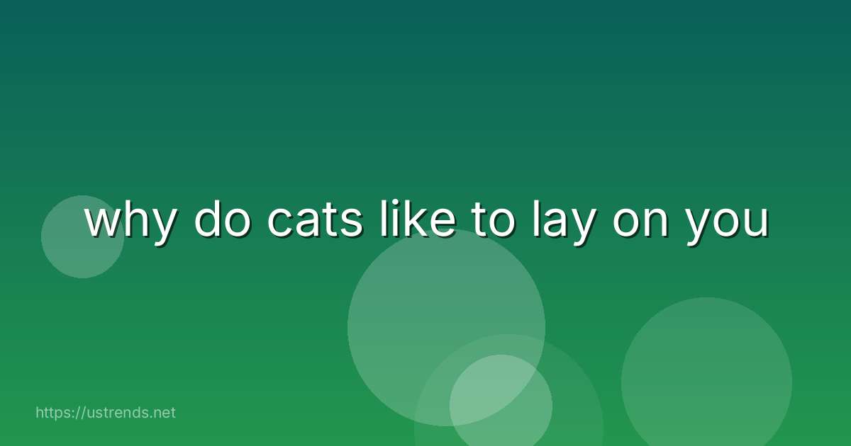 why do cats like to lay on you