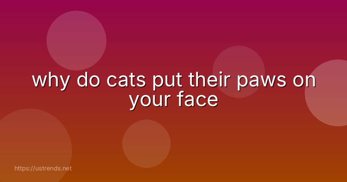 why do cats put their paws on your face