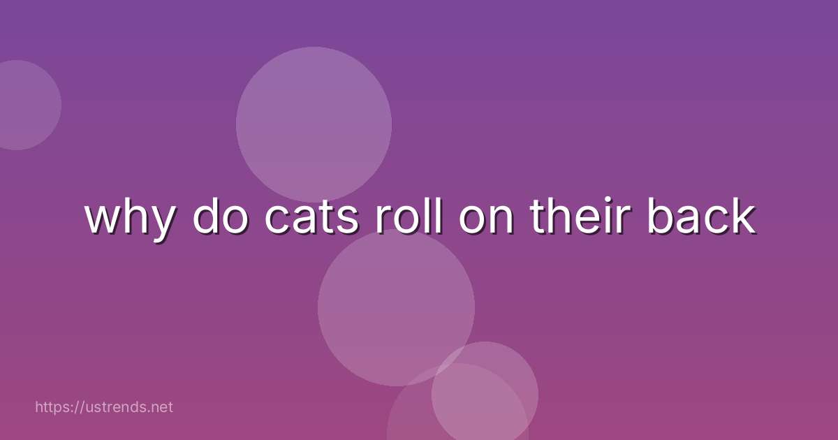 why do cats roll on their back