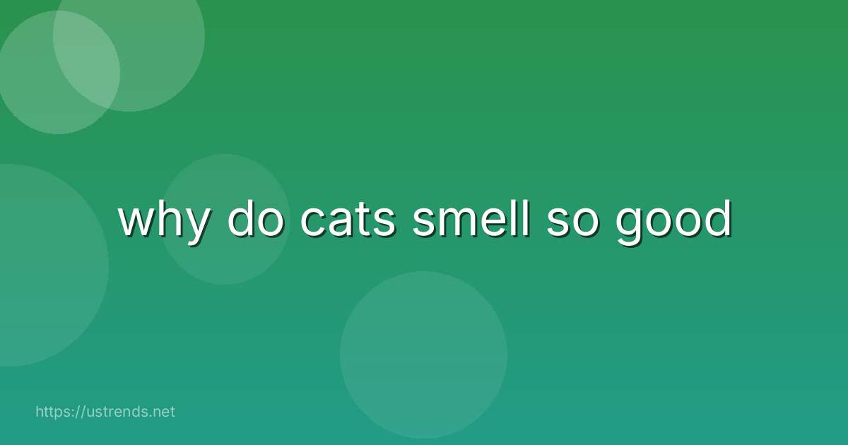 why do cats smell so good