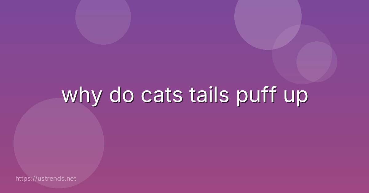why do cats tails puff up
