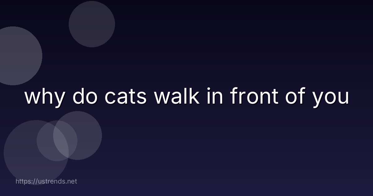 why do cats walk in front of you