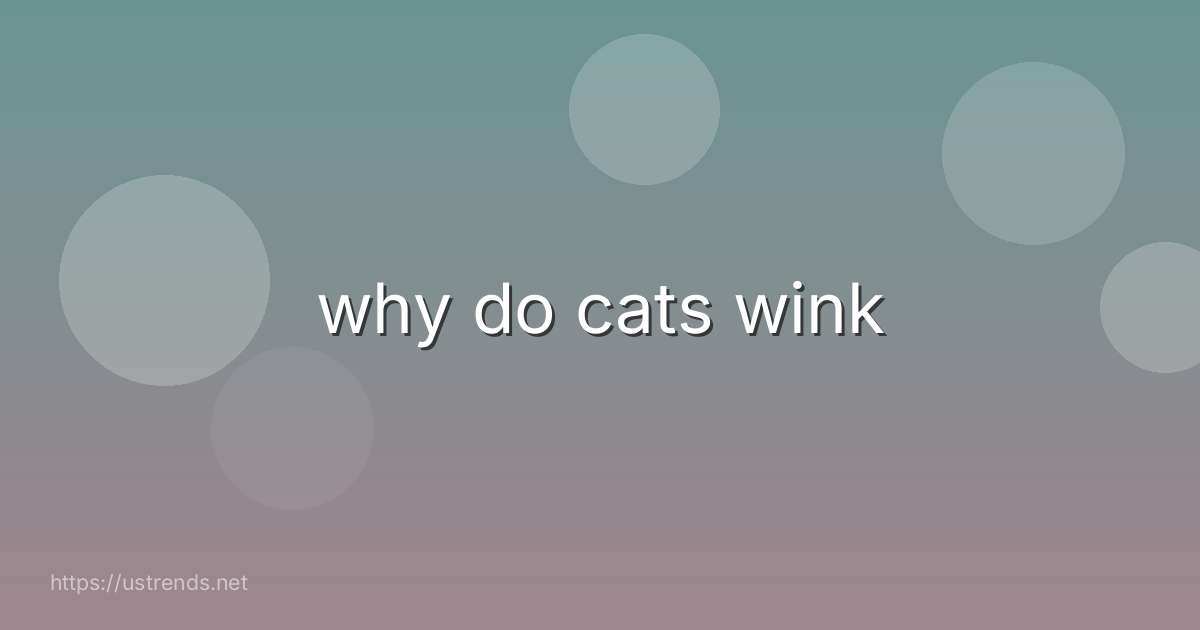 why do cats wink