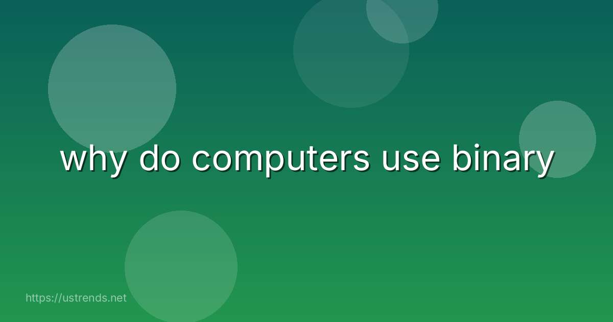 why do computers use binary