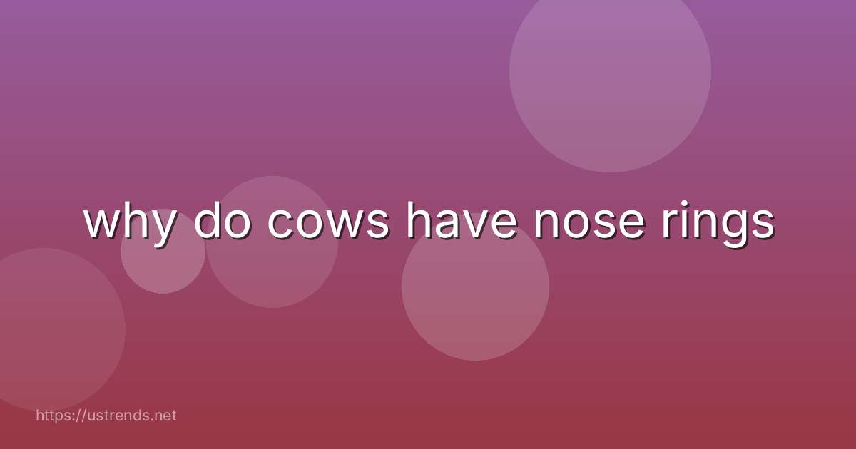 why do cows have nose rings