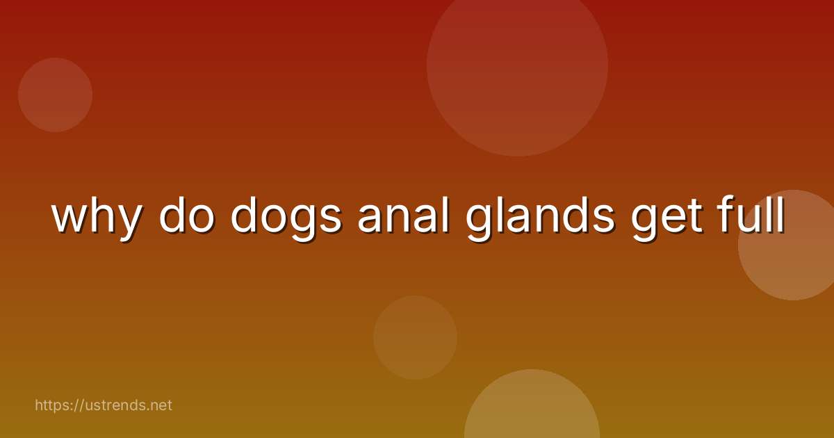 why do dogs anal glands get full