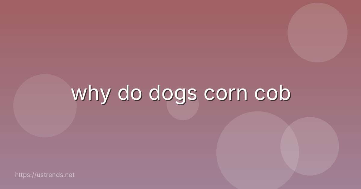 why do dogs corn cob