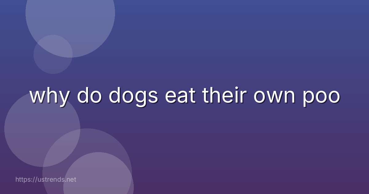 why do dogs eat their own poo