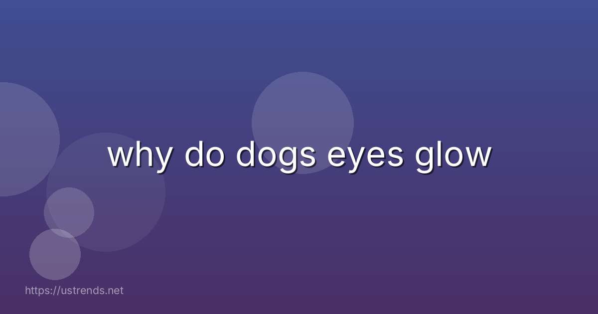 why do dogs eyes glow