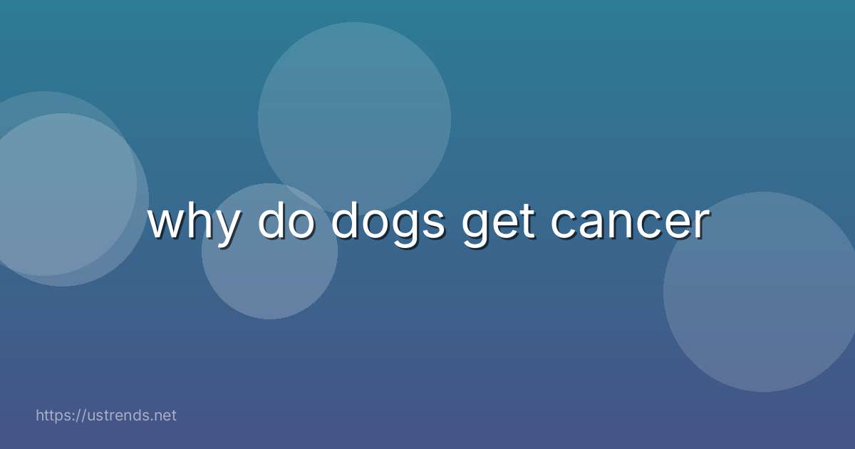 why do dogs get cancer