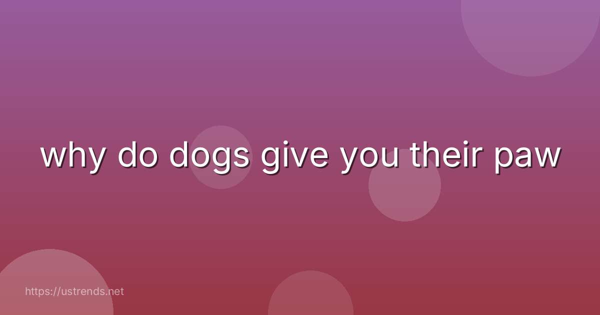 why do dogs give you their paw