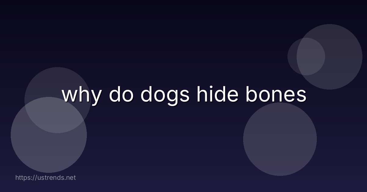 why do dogs hide bones