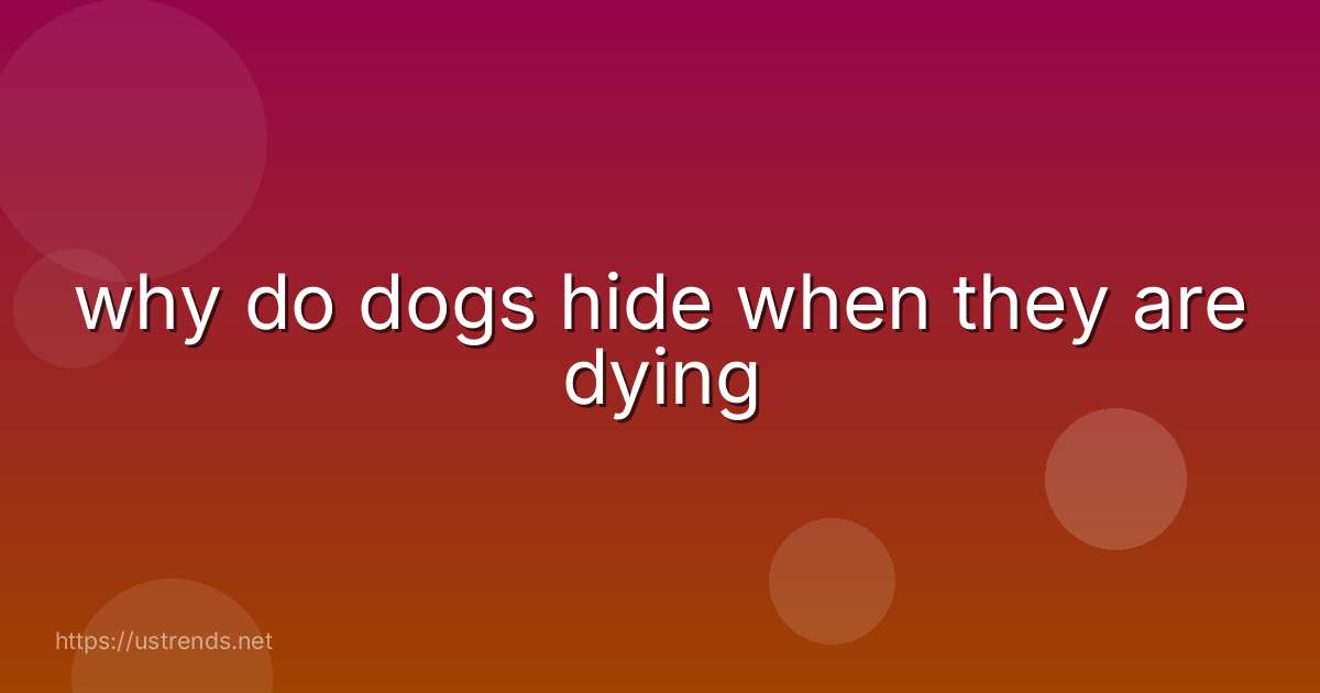 why do dogs hide when they are dying