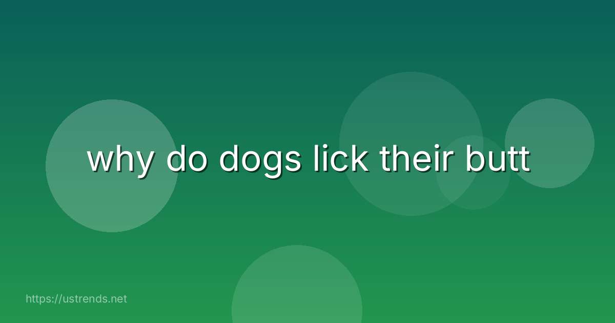 why do dogs lick their butt