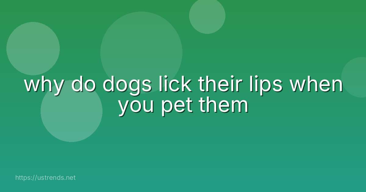why do dogs lick their lips when you pet them