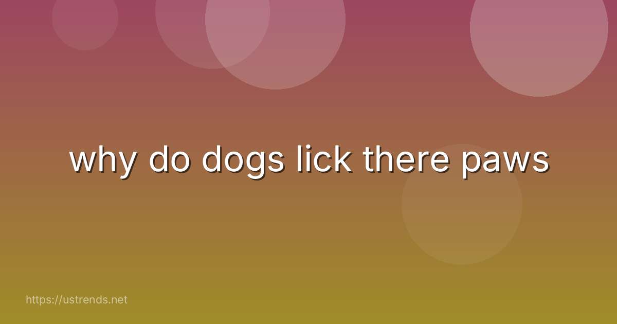 why do dogs lick there paws