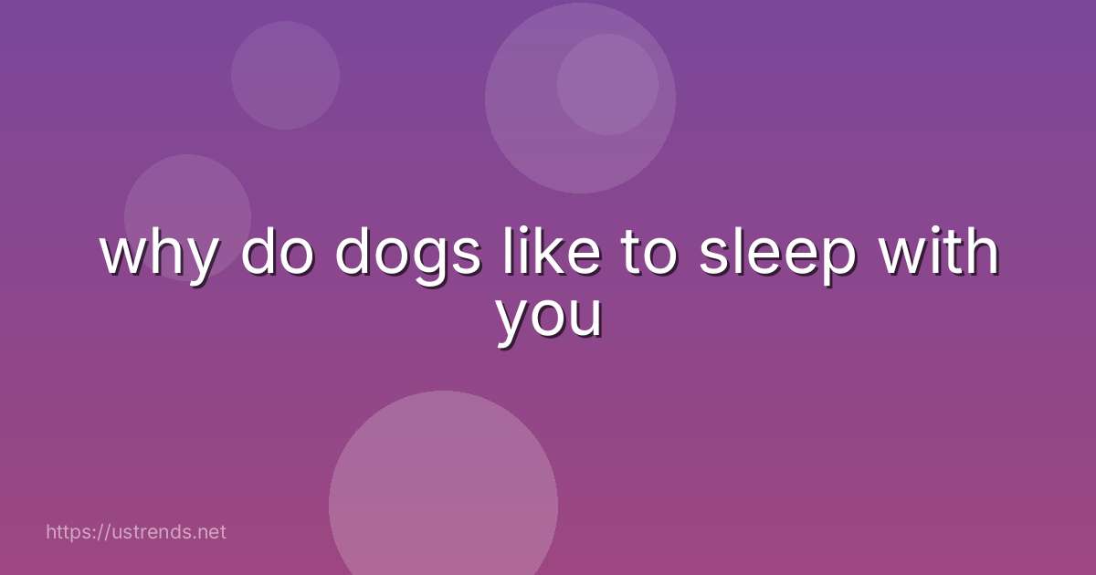 why do dogs like to sleep with you