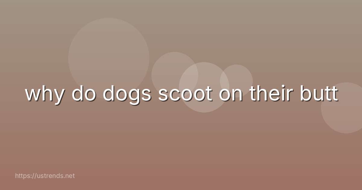 why do dogs scoot on their butt