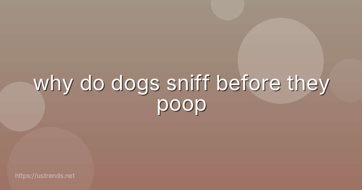 why do dogs sniff before they poop